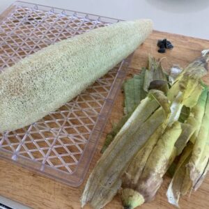 Vietnamese Luffa SEEDS Heirloom – Egyptian Cucumber, Sponge Gourd – Luffa Aegyptiaca #5