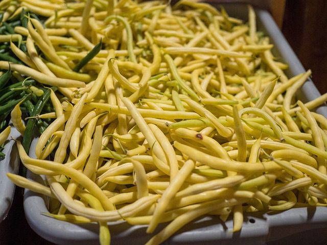 Bean Bush Cherokee Wax SEEDS – Phaseolus vulgaris – Stringless Yellow Beans – Heirloom #16