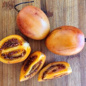 Tamarillo SEEDS Heirloom – Sweet Juicy – Tree Tomatoe – Solanum betaceum #8