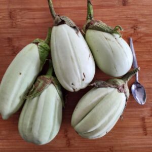 Large Oval Celadon Eggplant SEEDS Heirloom - Rare Not Bitter Variety - Solanum melongena  #10
